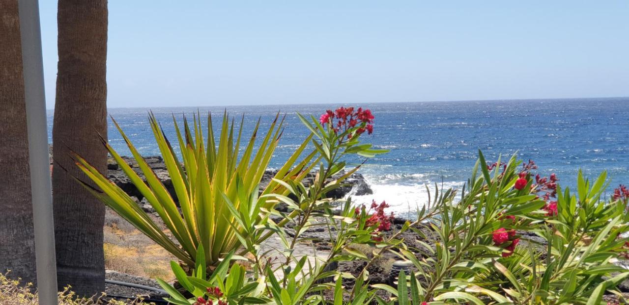 Cosy Well Located Apartment Tenerife Sur Golf 산미겔데아보나 외부 사진