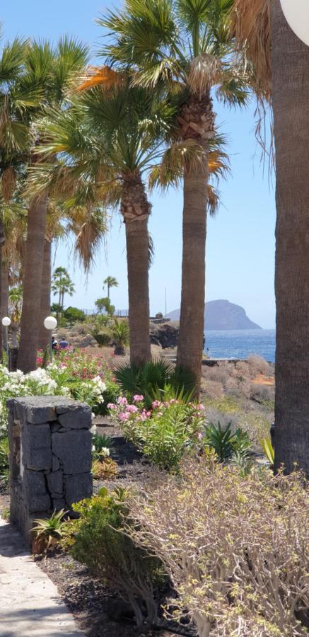 Cosy Well Located Apartment Tenerife Sur Golf 산미겔데아보나 외부 사진